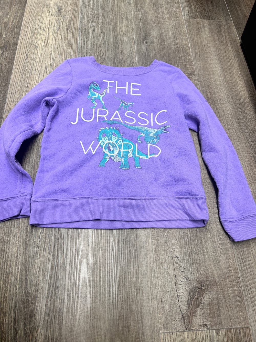 Kids Purple Jurassic World Long Sleeve Graphic Tee